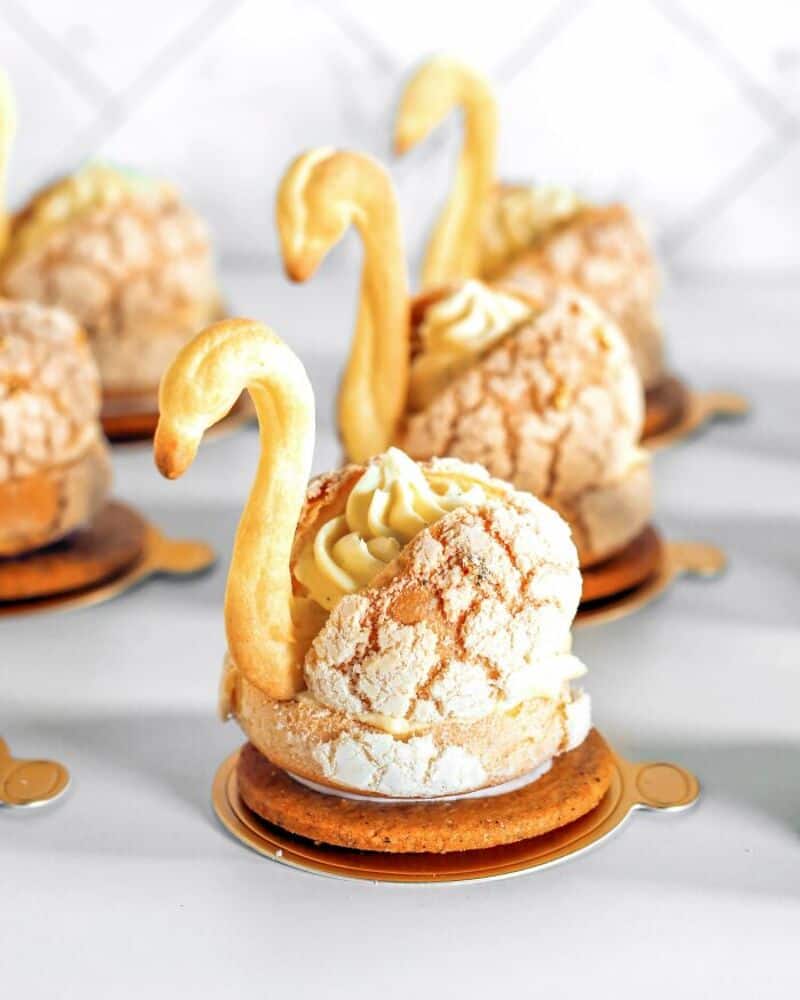 Swan-shaped cream puffs with swan necks and wings, on a white background.