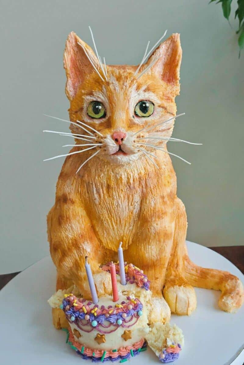 Cake shaped like an orange tabby cat with green eyes, sitting behind a birthday cake.
