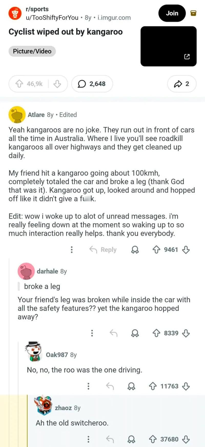 Screenshot of a Reddit comment thread about a cyclist hit by a kangaroo.