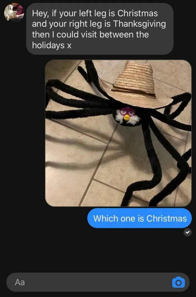 A spider with a Santa hat on its head and a small gift box on its back.