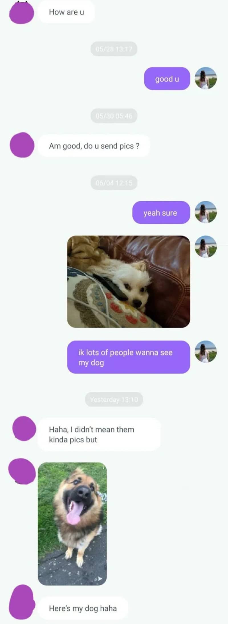 Chat conversation about sending pictures of dogs, with images of a dog included.