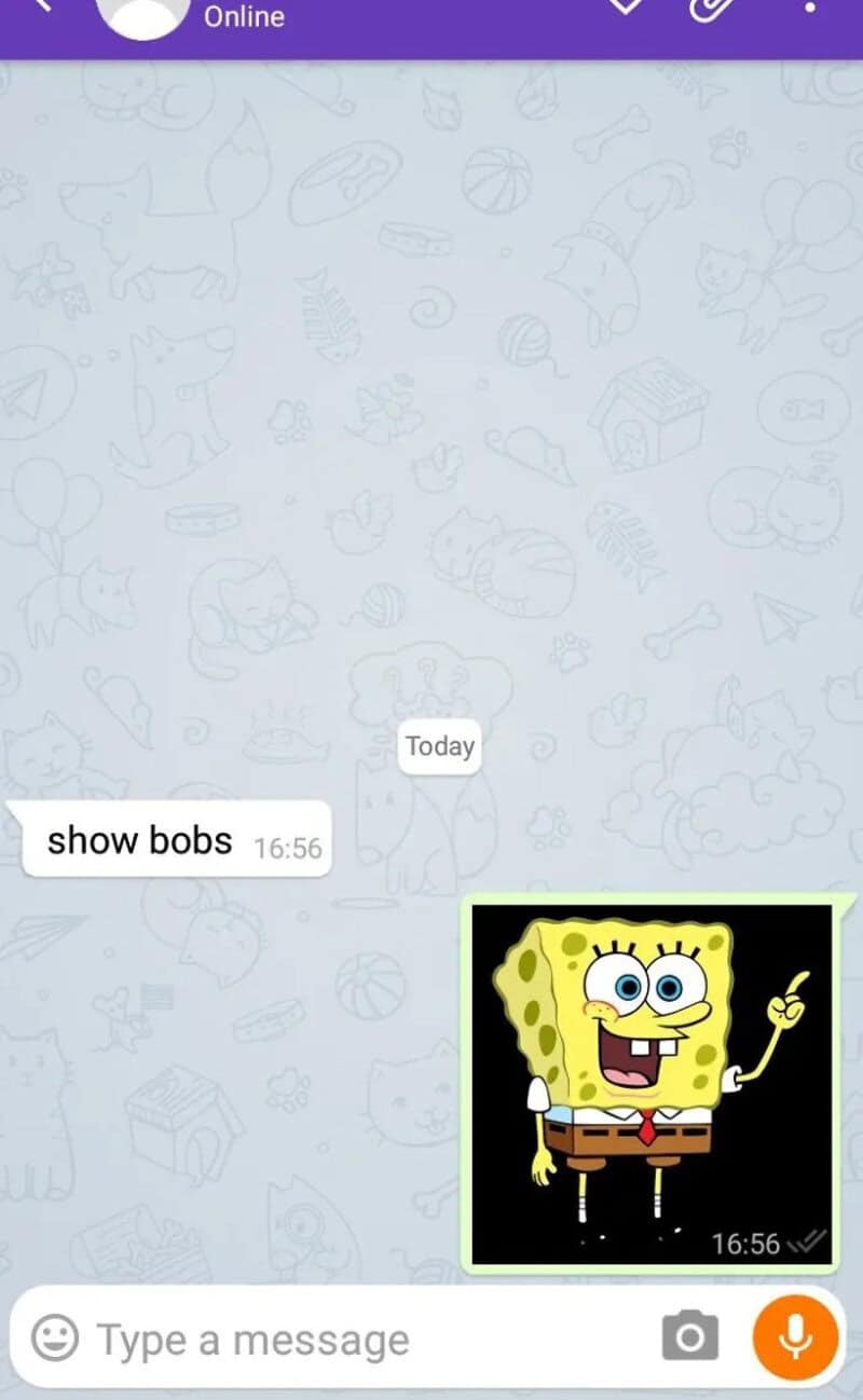 Screenshot of a WhatsApp chat with a SpongeBob meme image and text 'show bobs'.