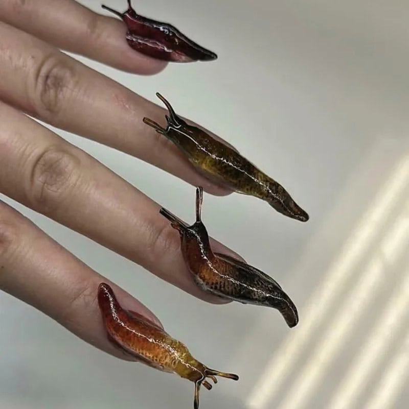 Four small snails on fingers with red nail polish, against a plain background.
