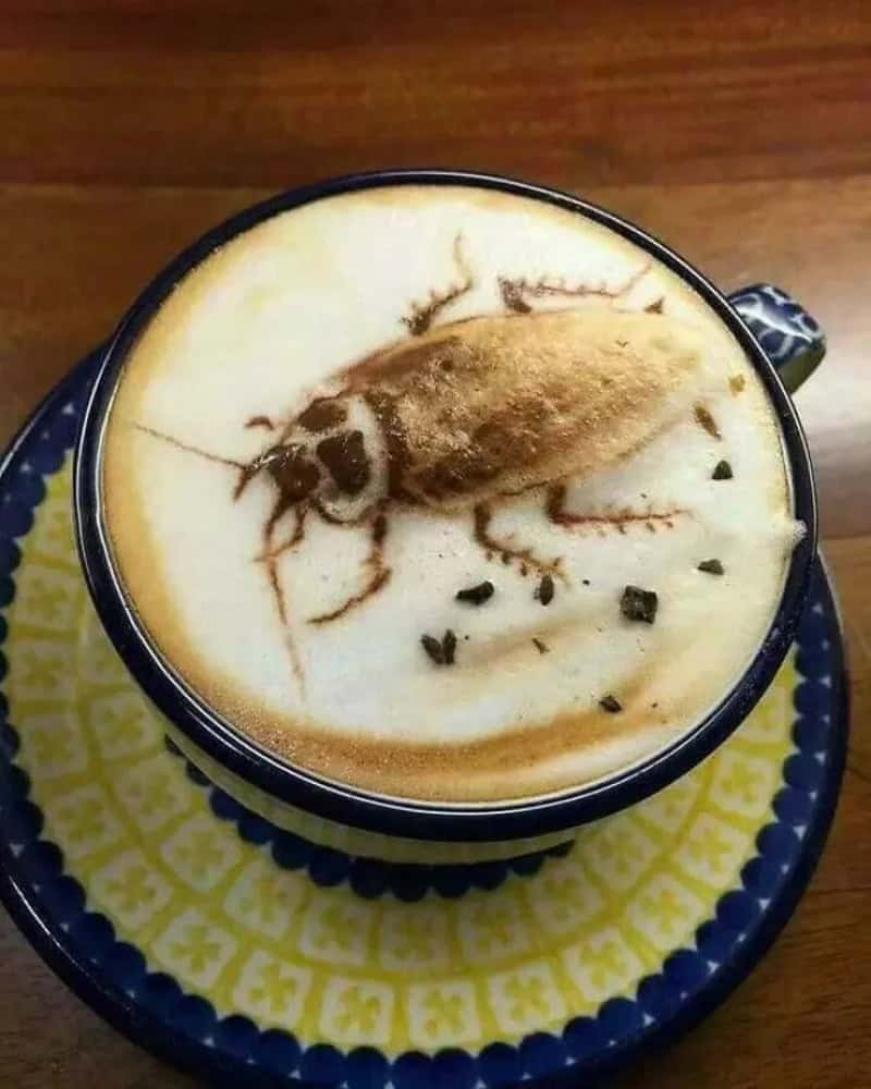 Coffee with a beetle design on foam, in a blue cup on a yellow and blue saucer.