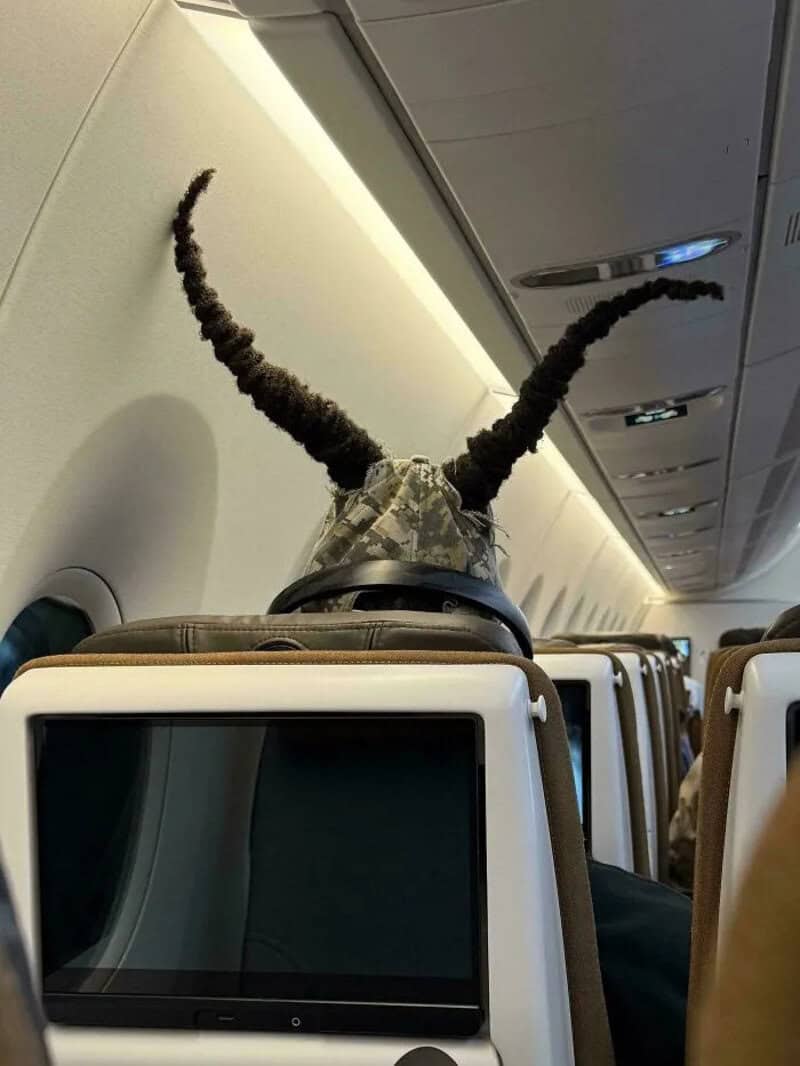 Person wearing a hat with long, curved, black horns on an airplane.