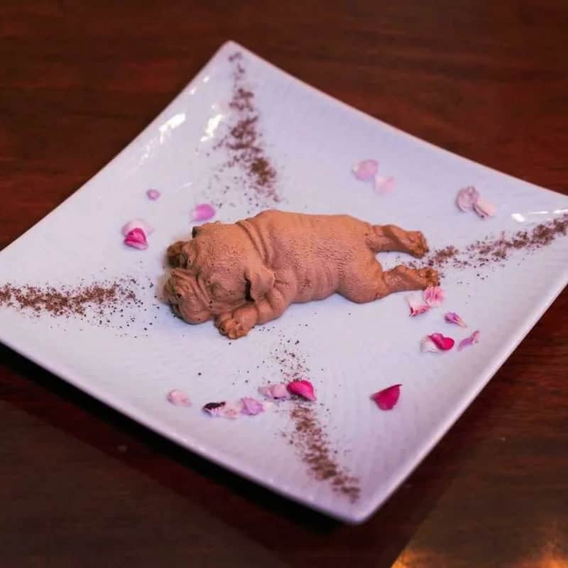 A tiny puppy-shaped dessert on a white plate with pink flower petals and cocoa powder.