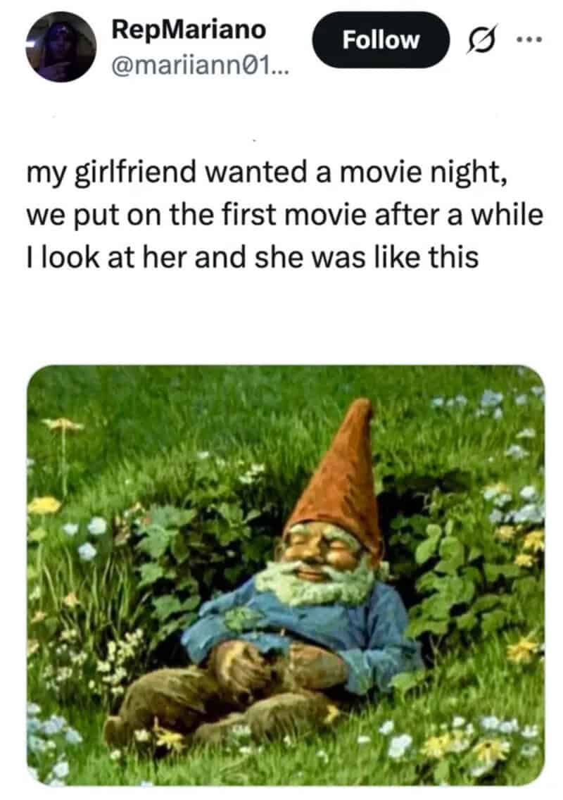 Gnome with glasses, orange hat, blue shirt, sitting on grass with a cat.