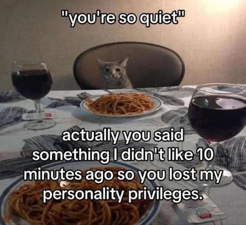 Cat sitting at a dinner table with two glasses of red wine and two plates of spaghetti, with a meme:.