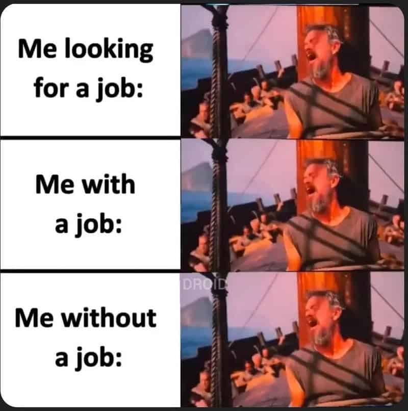 Meme showing a man on a ship looking happy with a job, sad without a job.