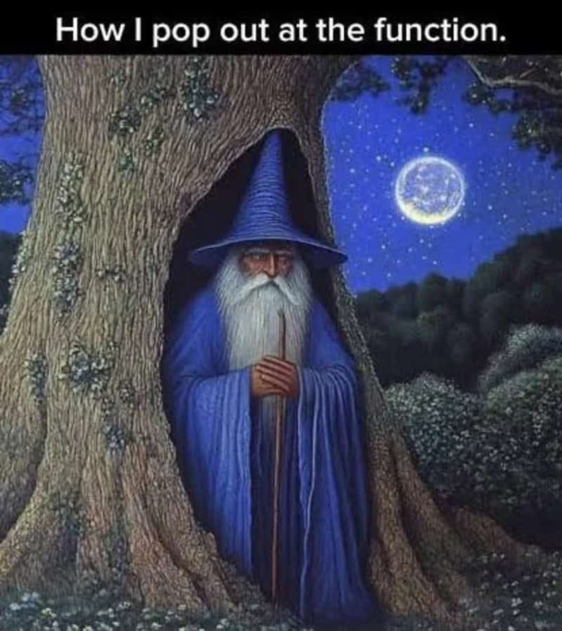 Wizard in a blue robe and hat hiding inside a tree at night with a full moon.