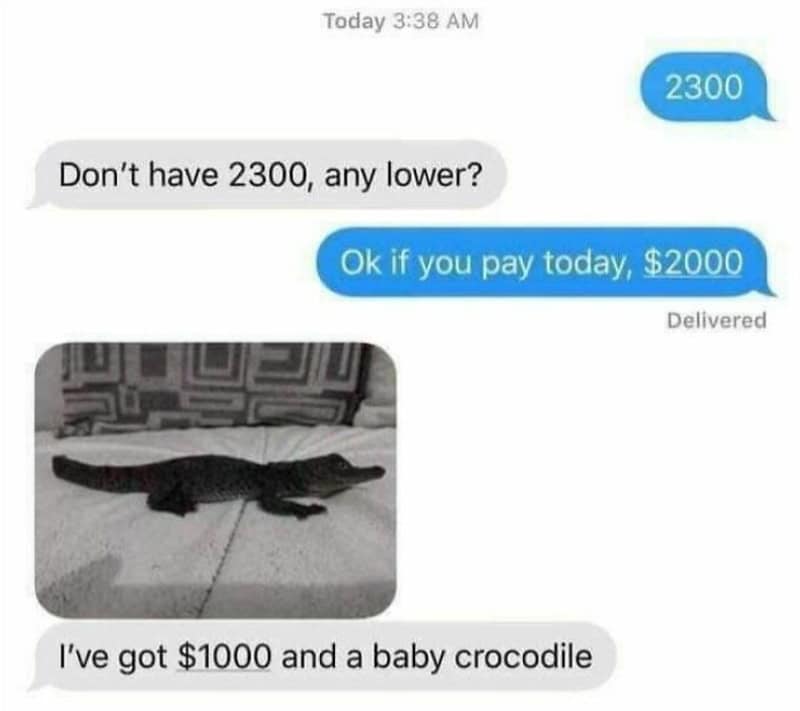 Text conversation about money with a photo of a baby crocodile.