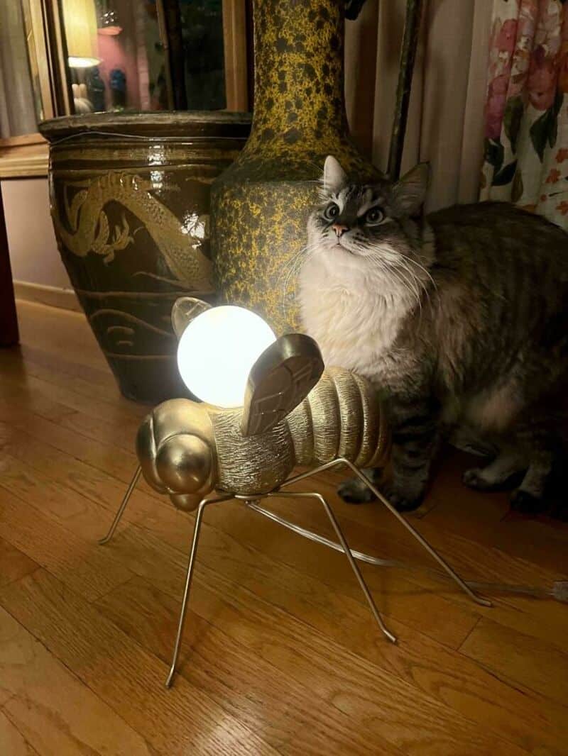 A fluffy cat sitting next to a decorative lamp and large vase in a cozy room.