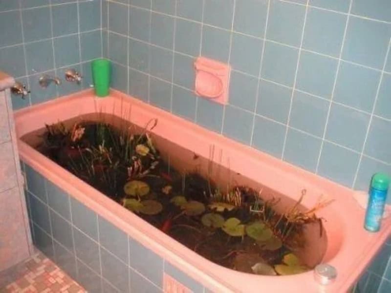 Pink bathtub filled with water, lily pads, and plants in a tiled bathroom.