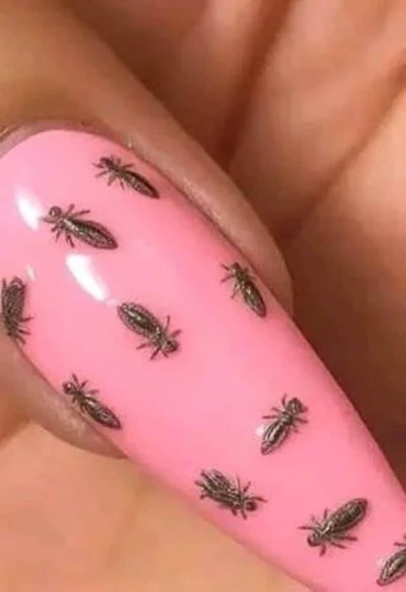 Pink fingernail with small black spiders on it.