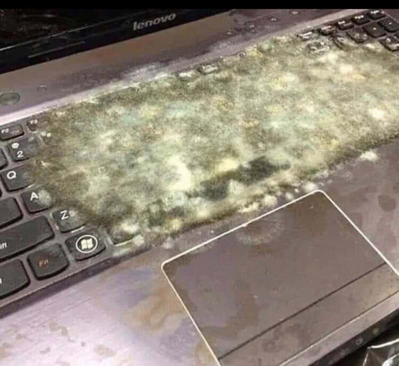 Dirty, moldy keyboard and touchpad on a laptop with a black keyboard.