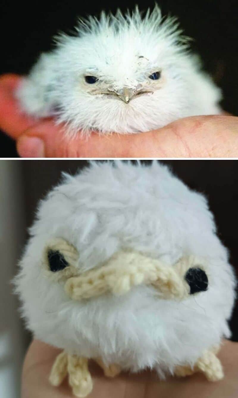 Two fluffy, white, bird-like plush toys with beak and black eyes.
