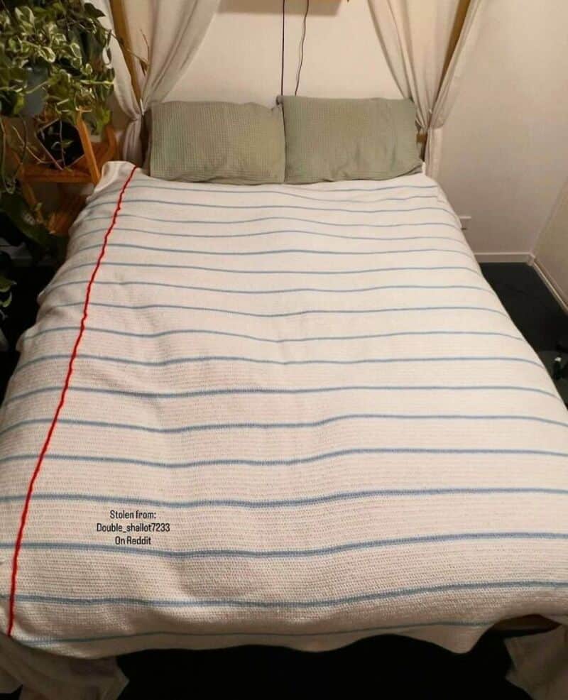 Bed with striped bedsheet, green pillows, and a plant nearby.
