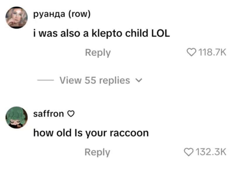 Comment about being a klepto child and asking about raccoons.