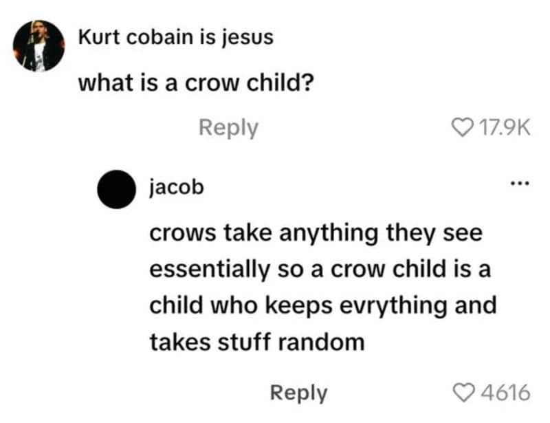 TikTok comment about crow children and their behavior.