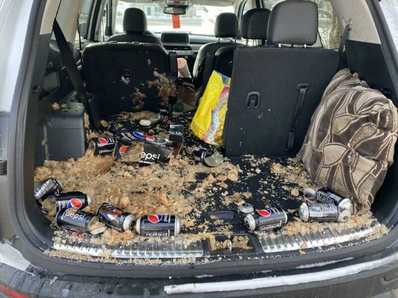 Messy car trunk with spilled soda cans and food debris.