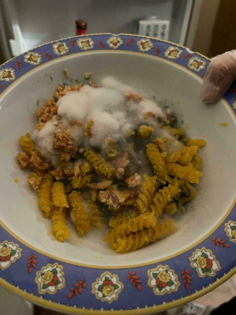 Bowl of crumbled food with white powder and yellow pasta, held by a hand.