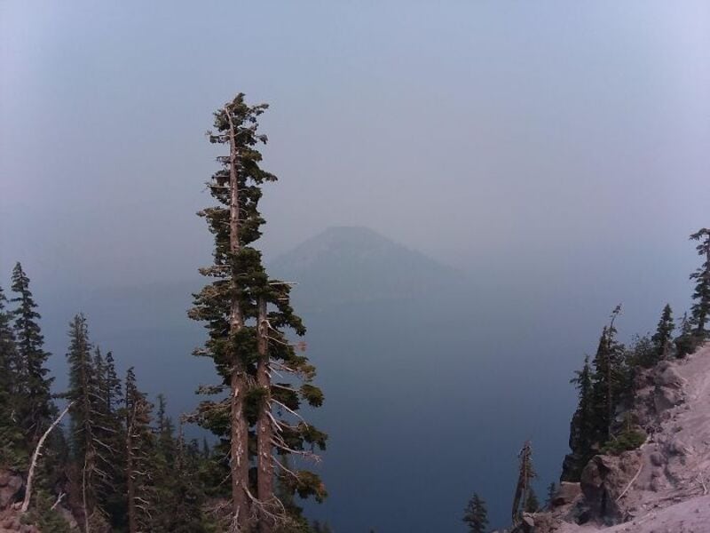 A foggy lake with tall pine trees and a distant mountain in the background.