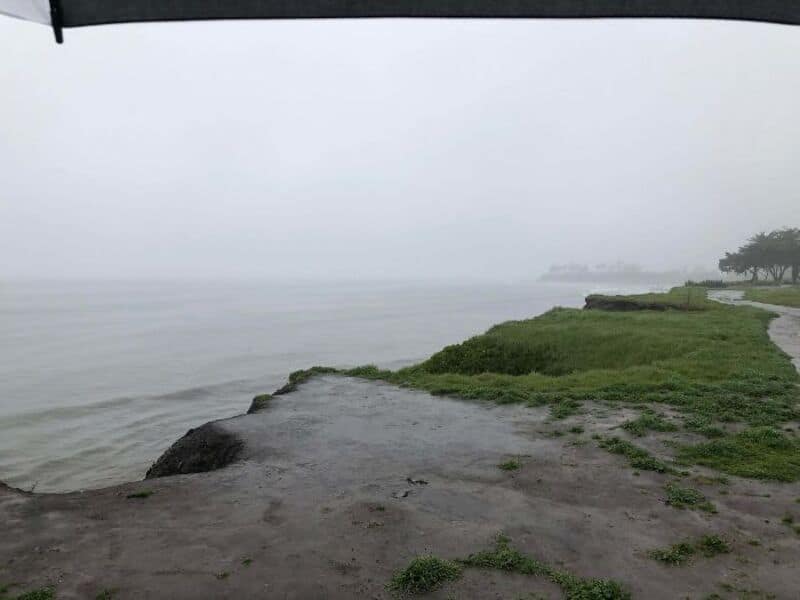 Overcast view of a rocky shoreline with green grass and trees in the distance.