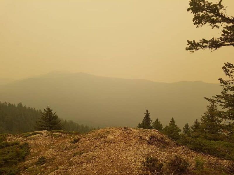 Hazy mountain landscape with trees and a yellowish sky.