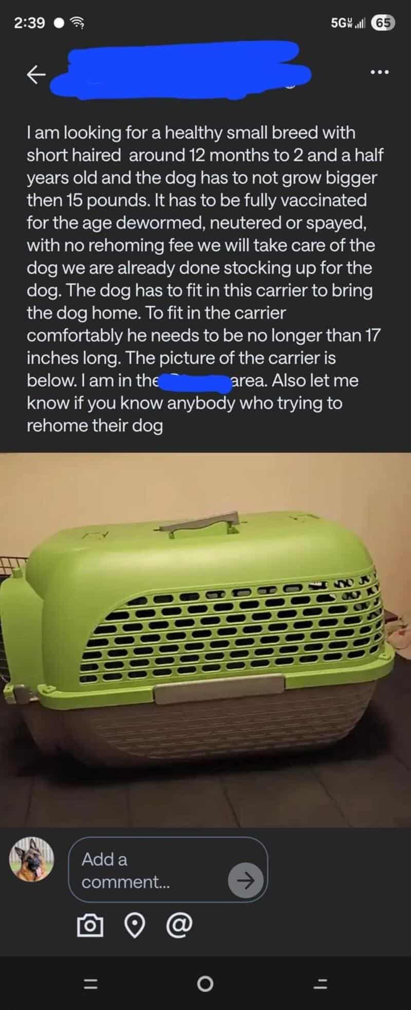 Small green dog carrier with ventilation holes and a handle on top.