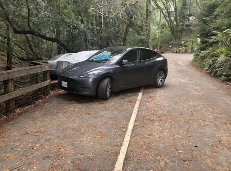 Black Tesla parked in a wooded area with a white car behind it.