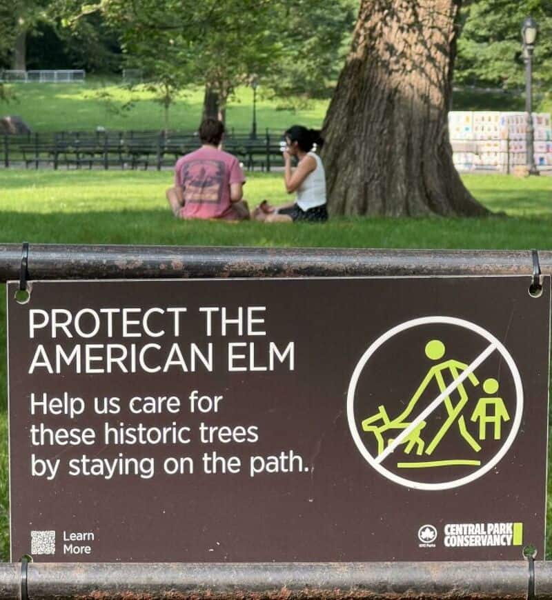 Sign urging protection of American elm trees in a park.