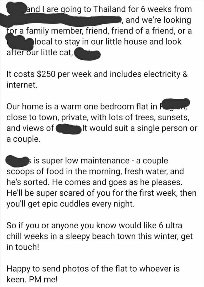 Family planning for a 6-week stay in Thailand, cozy home, low maintenance, and cuddles.