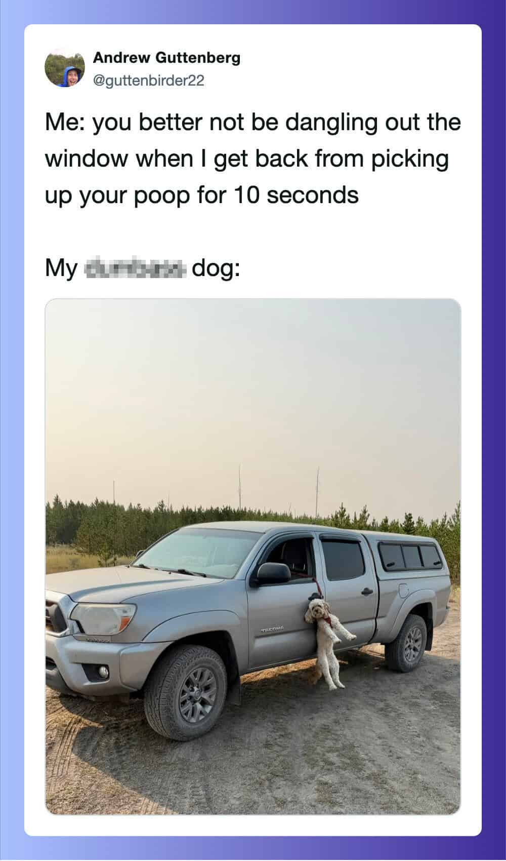 Dog hanging from car door handle with a humorous caption about not dangling out the window.