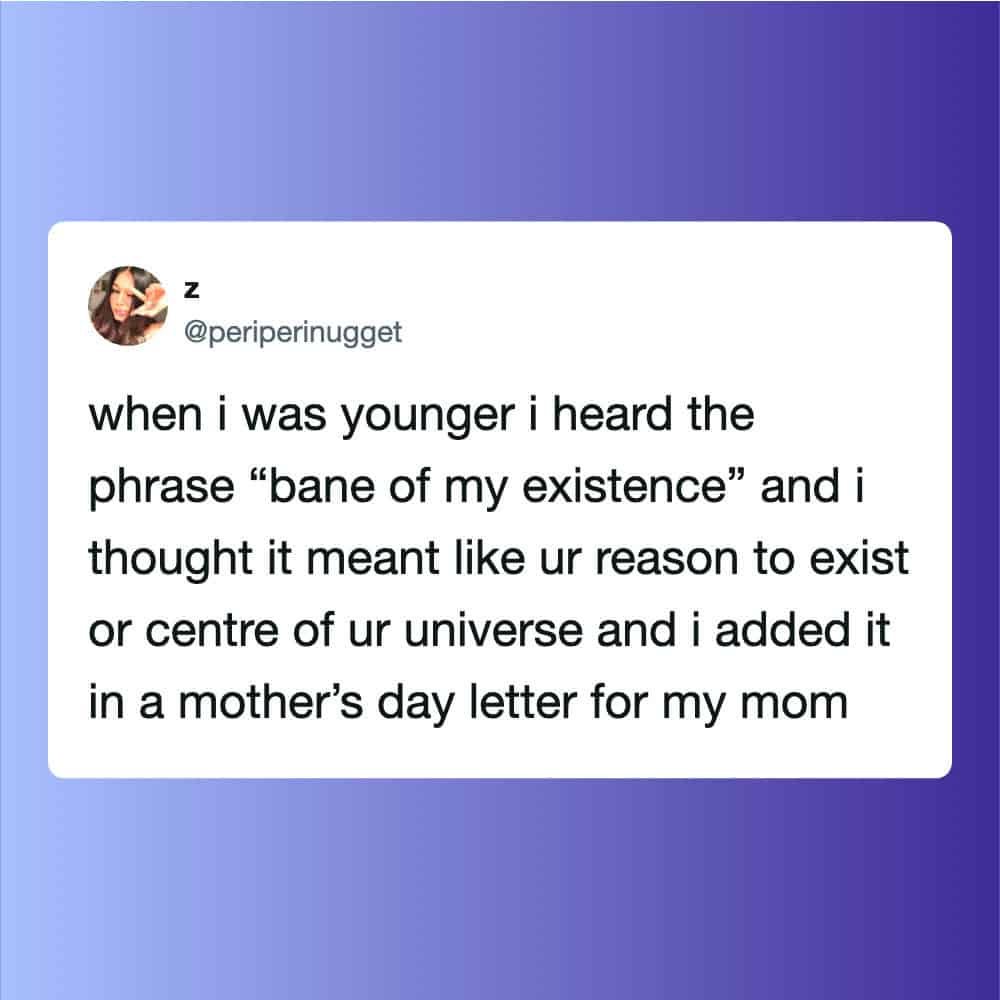 When I was younger I heard the phrase 'bane of my existence' and I thought it meant like ur reason.