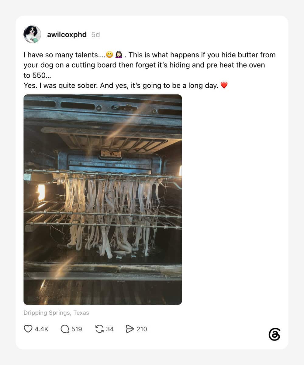 Dog hiding under a baking oven with cooked spaghetti hanging from the oven rack.