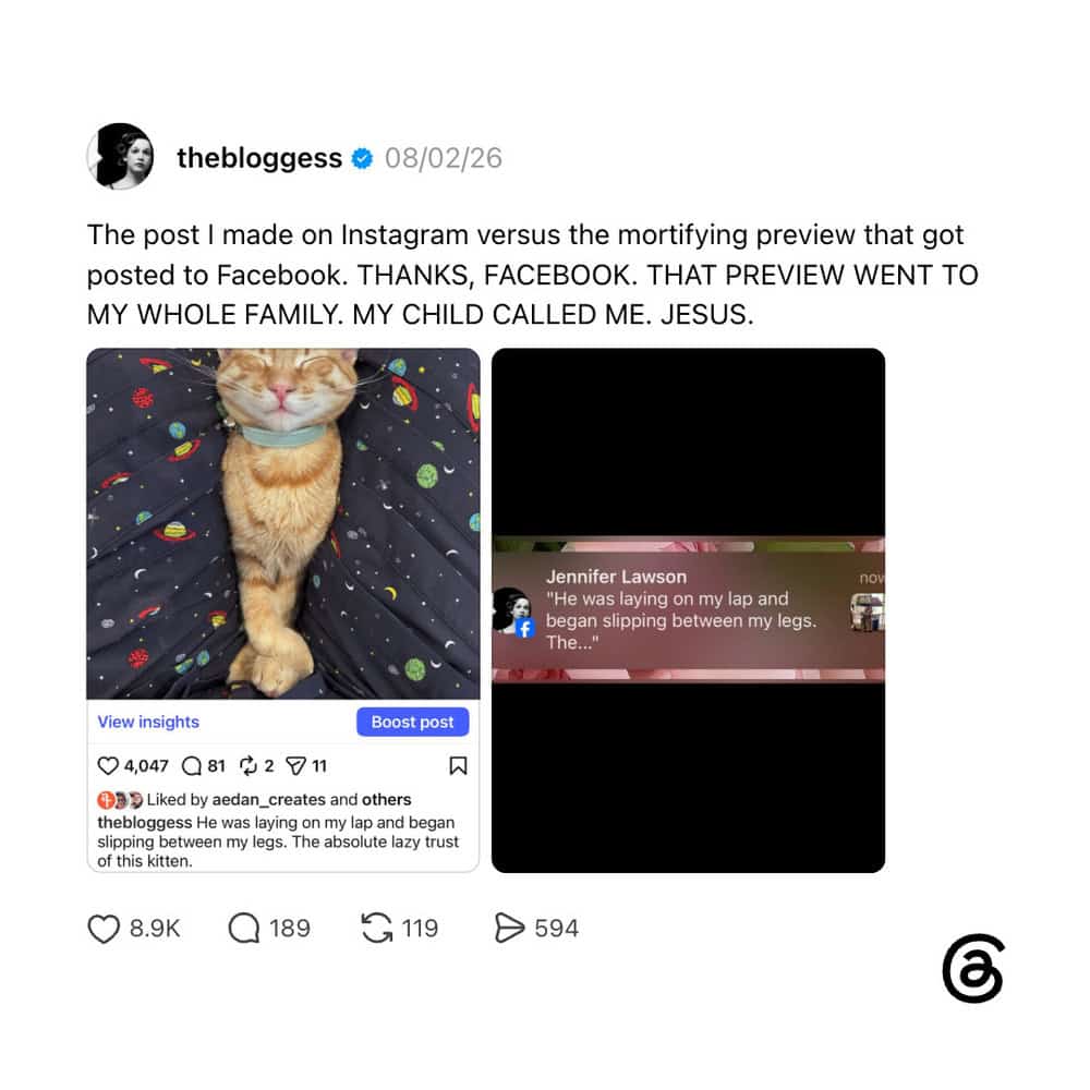 Cat lying on bed with blanket, caption about Instagram post versus Facebook preview.