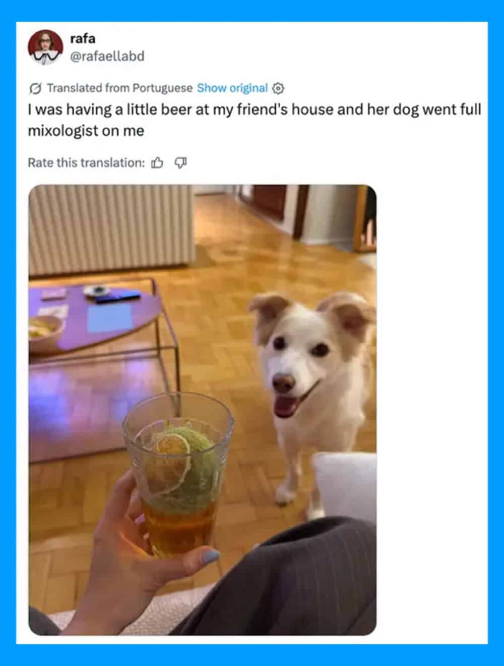 Dog looking at a glass of beer with a lime wedge, owner holding the glass.