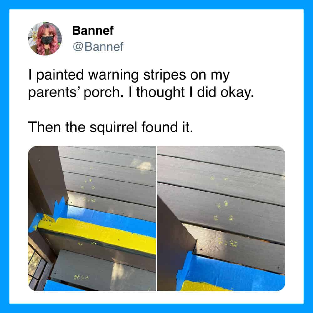 Painted warning stripes on porch, squirrel found it.