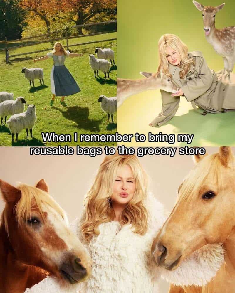 A woman with blonde hair surrounded by goats and sheep, with a caption about reusable bags.