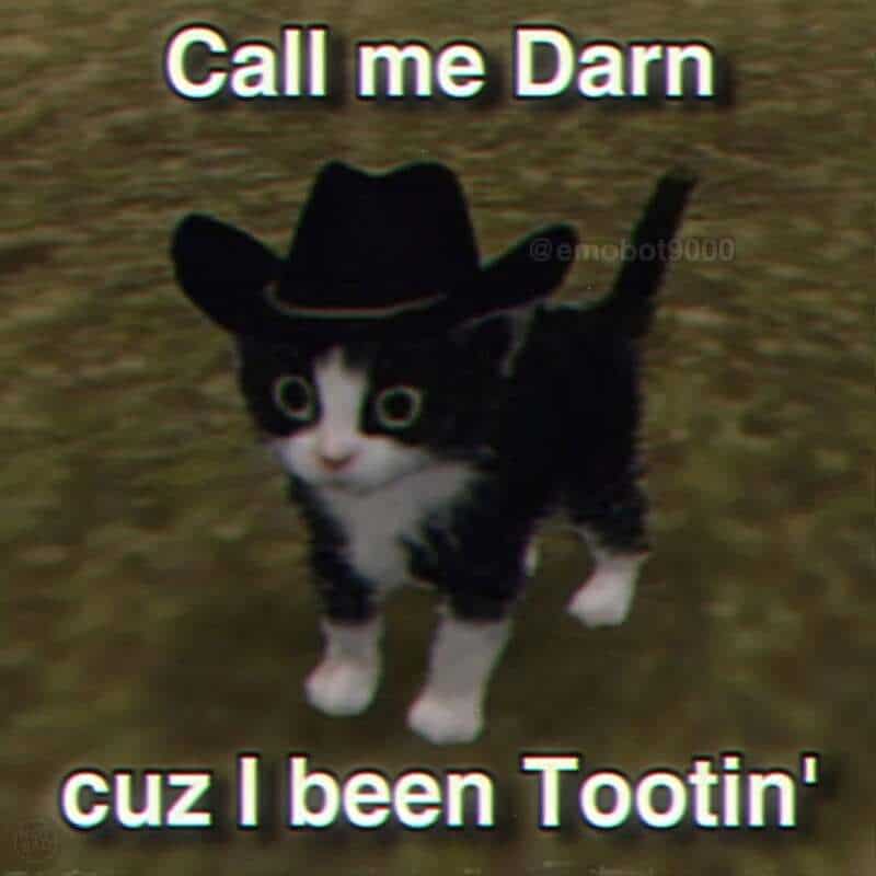 Cute black and white kitten wearing a cowboy hat with text about being a 'tootin' cat.