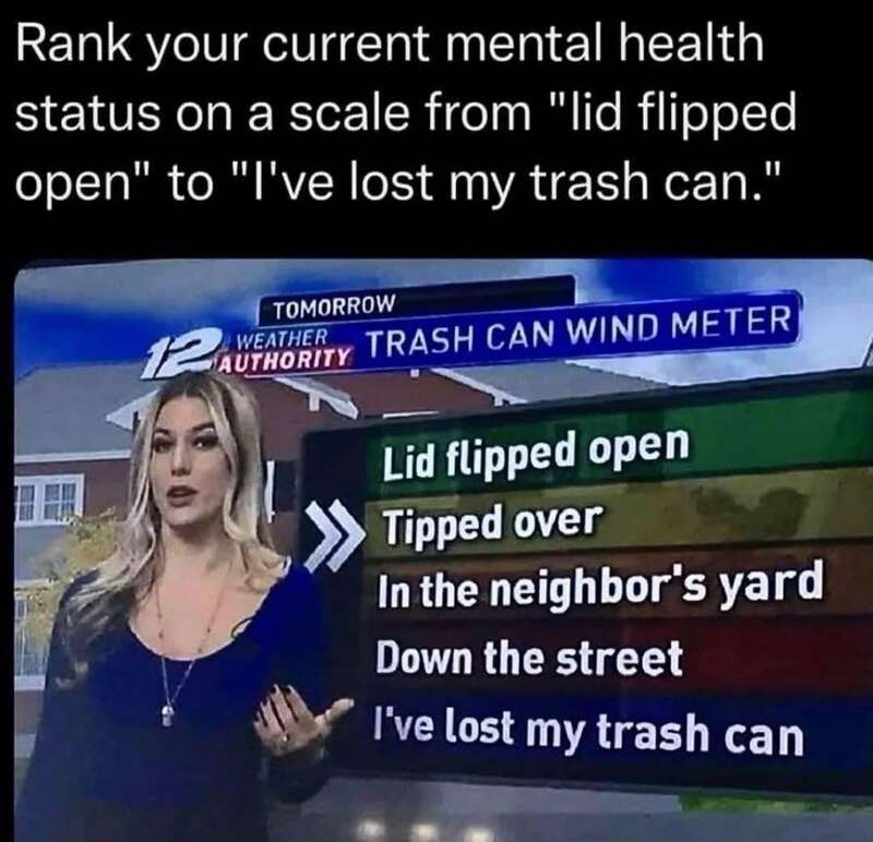 Rank your mental health on a scale from lid flipped open to I've lost my trash can.