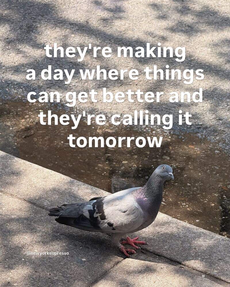 Pigeon standing near a puddle with text about making a better tomorrow.