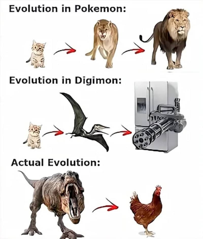 Comparison of Pokémon and Digimon evolution with real animal evolution.