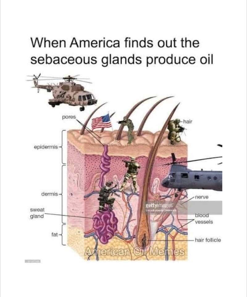 Diagram of human skin with soldiers and oil production elements, titled 'When America finds out thes.