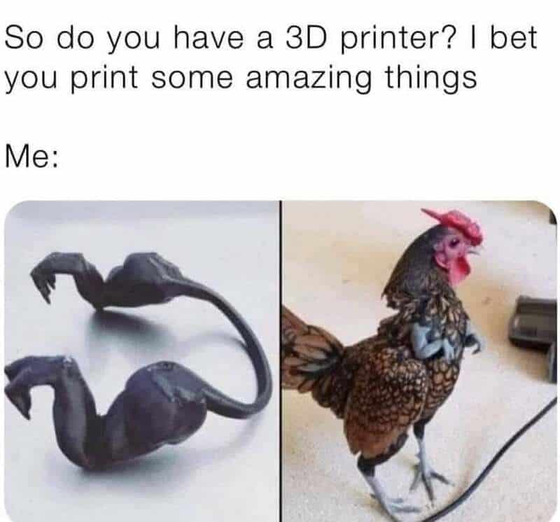 Comparison of a 3D printed dinosaur and a real chicken.