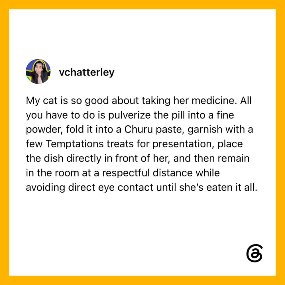 A person giving instructions for giving medicine to a cat.