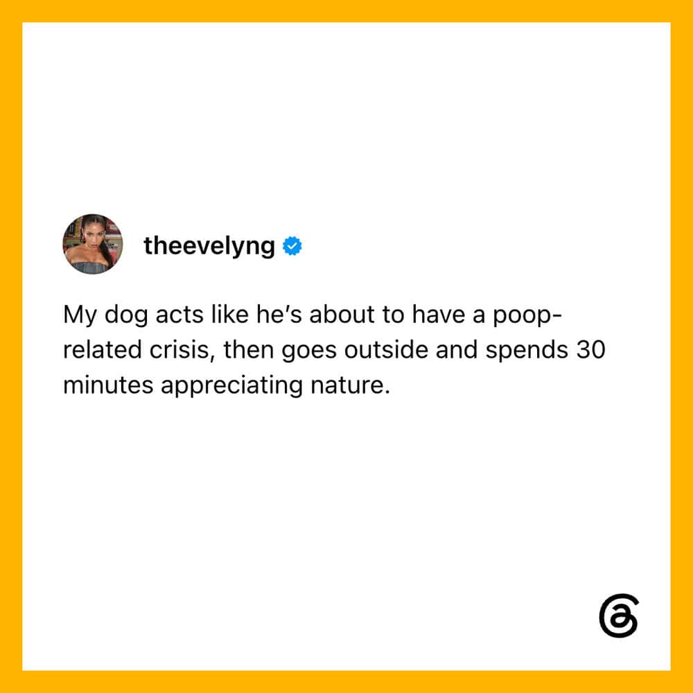 Dog acting like he's about to have a poop-related crisis, then appreciating nature.