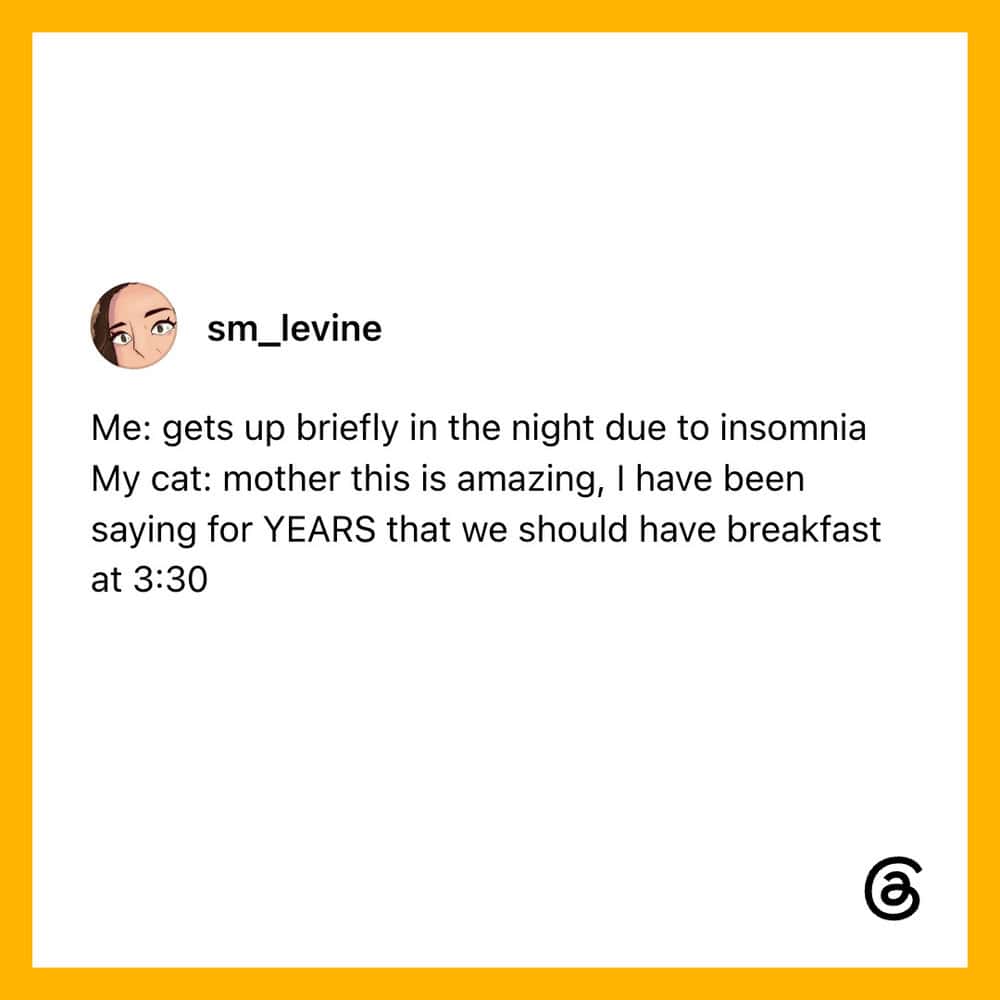 Instagram post about insomnia and a cat, with a caption about breakfast at 3:30.