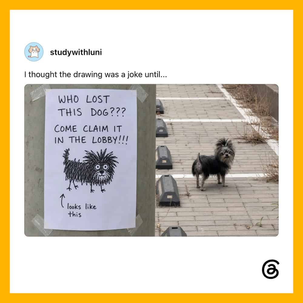 Dog standing on sidewalk next to a sign about a lost dog.