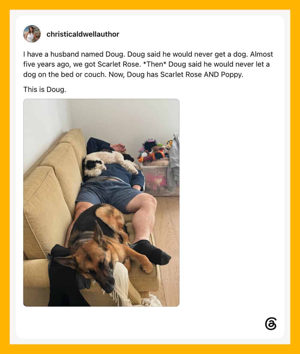 Man sleeping on sofa with two dogs, one on his chest and one on his lap.